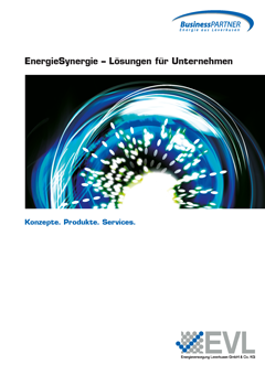 EVL-Energie 1
