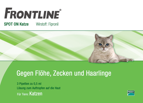 Layoutvorschlag-Frontline