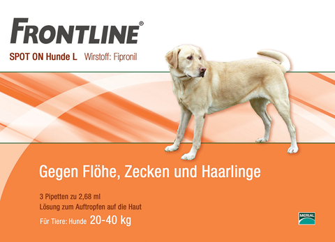 Layoutvorschlag-Frontline