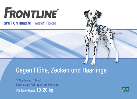 Layoutvorschlag-Frontline