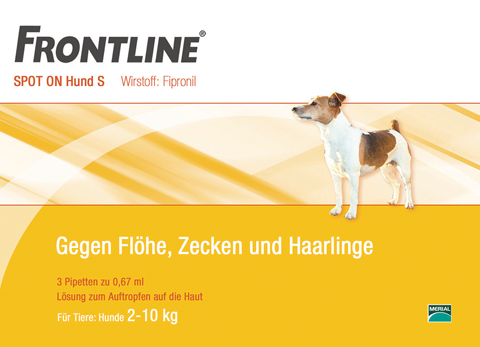 Layoutvorschlag-Frontline